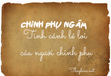 Phân tích đoạn trích Tình cảnh lẻ loi