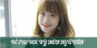 Đề thi học kỳ môn ngữ văn