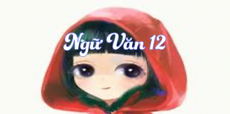 Bài tập đọc hiểu ngữ văn và đáp án