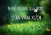 Những nội dung văn xuôi cần chú ý trong kỳ thi Ngữ văn THPT Quốc Gia
