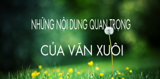Những nội dung văn xuôi cần chú ý trong kỳ thi Ngữ văn THPT Quốc Gia