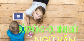 Chuyên đề bồi dưỡng học sinh giỏi văn – Lý luận văn học