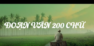 Viết đoạn văn Nghị luận xã hội