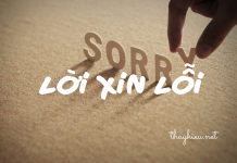 Nghị luận về lời xin lỗi