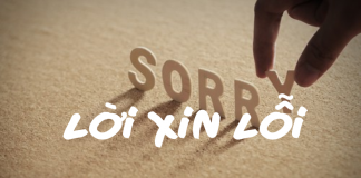 Nghị luận về lời xin lỗi