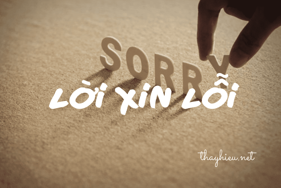 Nghị luận về lời xin lỗi