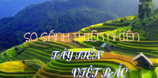 So sánh hai đoạn thơ về thiên nhiên trong Tây Tiến và Việt Bắc