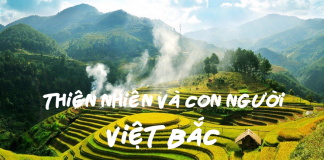 Vẻ đẹp bức tranh thiên nhiên và con người trong Việt Bắc