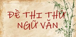 Đề thi thử ngữ văn 2019 mới nhất
