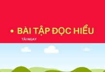 Bài tập đọc hiểu môn Văn và đáp án