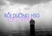 Chuyên đề bồi dưỡng học sinh giỏi môn Văn