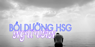 Chuyên đề bồi dưỡng học sinh giỏi môn Văn