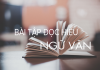Bài tập đọc hiểu môn Ngữ văn