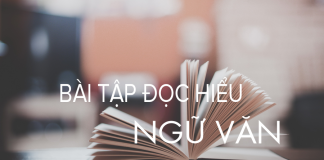 Bài tập đọc hiểu môn Ngữ văn