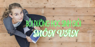 Chuyên đề bồi dưỡng học sinh giỏi môn Văn – bài văn số 01