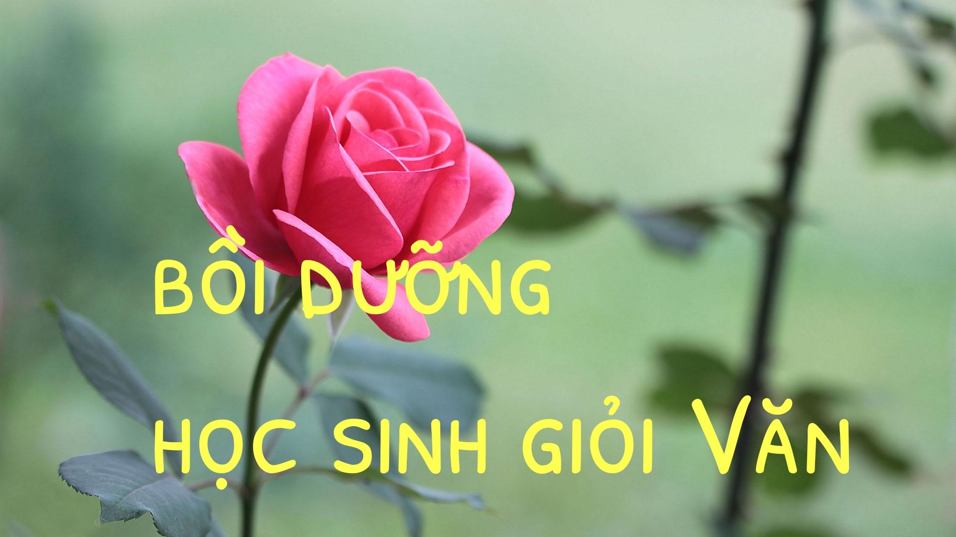 Boi duong hoc sinh gioi van