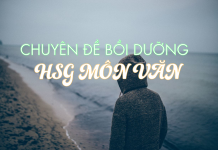 Chuyên đề bồi dưỡng học sinh giỏi môn Văn – bài số 02