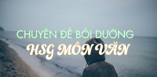 Chuyên đề bồi dưỡng học sinh giỏi môn Văn – bài số 02