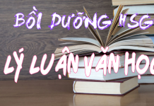 Chuyên đề bồi dưỡng học sinh giỏi văn – Lý luận văn học