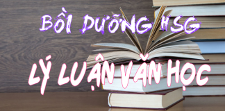 Chuyên đề bồi dưỡng học sinh giỏi văn – Lý luận văn học