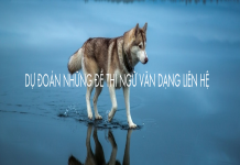 Dự đoán những đề thi so sánh liên hệ phần thơ 12 và 11