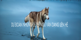 Dự đoán những đề thi so sánh liên hệ phần thơ 12 và 11