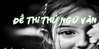 ĐỀ THI THỬ QUỐC GIA MÔN NGỮ VĂN
