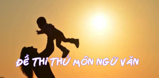 Đề thi thử môn Ngữ văn số 18