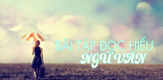 Bài tập đọc hiểu