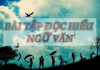 Bài tập đọc hiểu môn Văn THPT