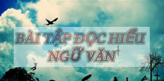 Bài tập đọc hiểu môn Văn THPT