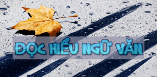 Thực hành bài tập đọc hiểu