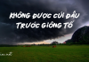 Suy nghĩ về câu nói của liệt sĩ Đặng Thùy Trâm: “Đời phải trải qua giông tố nhưng không được cúi đầu trước giông tố”