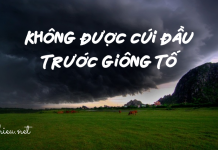 Suy nghĩ về câu nói của liệt sĩ Đặng Thùy Trâm: “Đời phải trải qua giông tố nhưng không được cúi đầu trước giông tố”