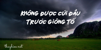 Suy nghĩ về câu nói của liệt sĩ Đặng Thùy Trâm: “Đời phải trải qua giông tố nhưng không được cúi đầu trước giông tố”