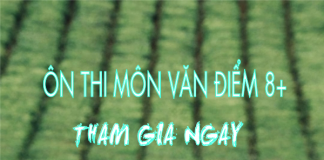 Đề Thi Thử Ngữ Văn Quốc Gia Số 17