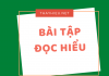 Bài tập đọc hiểu ngữ văn THPT- có đáp án