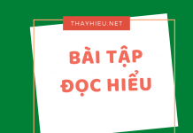 Bài tập đọc hiểu ngữ văn THPT- có đáp án