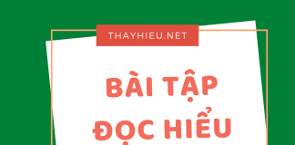 Bài tập đọc hiểu ngữ văn THPT- có đáp án