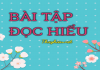 Bài tập đọc hiểu Ngữ văn 12