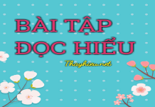 Bài tập đọc hiểu Ngữ văn 12