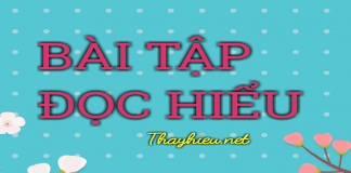 Bài tập đọc hiểu Ngữ văn 12