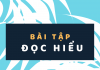 Bài tập đọc hiểu môn Ngữ văn