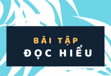 Bài tập đọc hiểu môn Ngữ văn