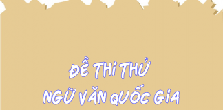 Đề thi thử Ngữ văn Quốc Gia số 19