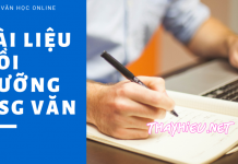 Tài liệu bồi dưỡng học sinh giỏi – Nghị luận xã hội