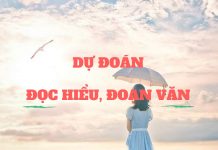 Dự đoán chủ đề đọc hiểu và đoạn văn trong kỳ thi Quốc gia 2019 – Môn Ngữ Văn