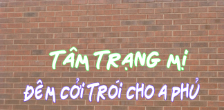 Diễn biến tâm trạng Mị đêm cởi trói A Phủ – Đề mới 2019