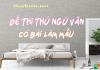 Đề thi thử Ngữ văn hướng mới và bài làm mẫu