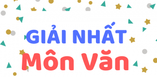 Bài đạt giải nhất học sinh giỏi môn Văn